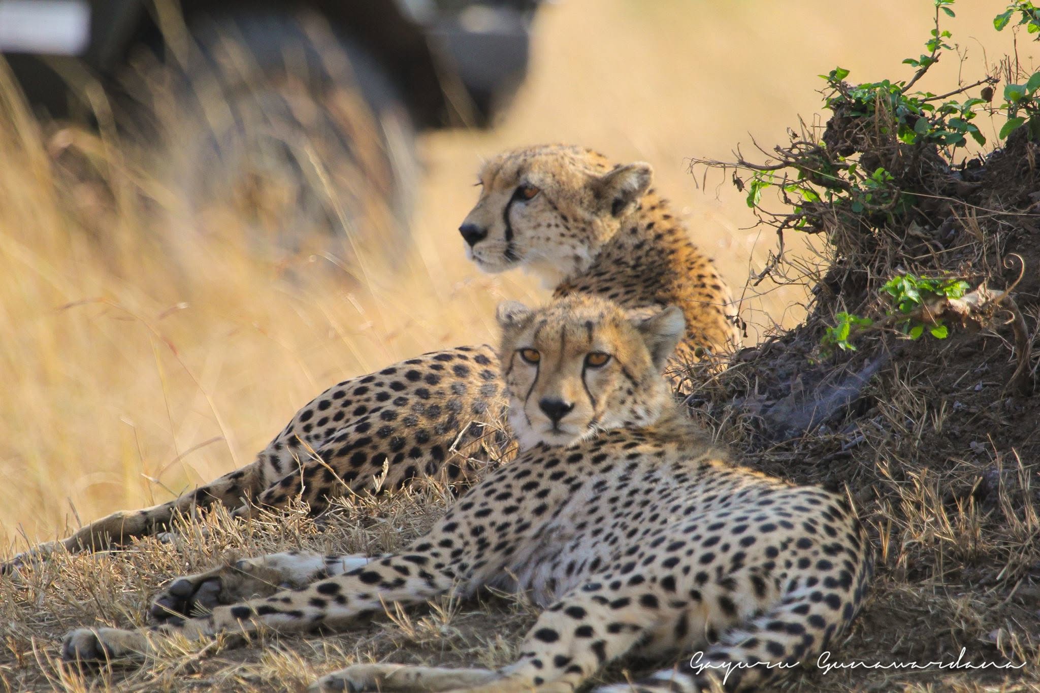 Kenya